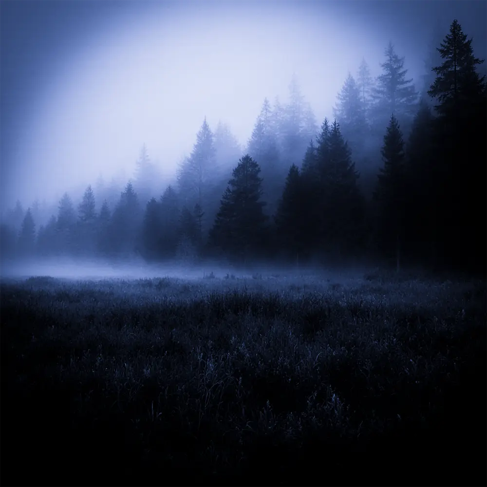 loneliness - hønda