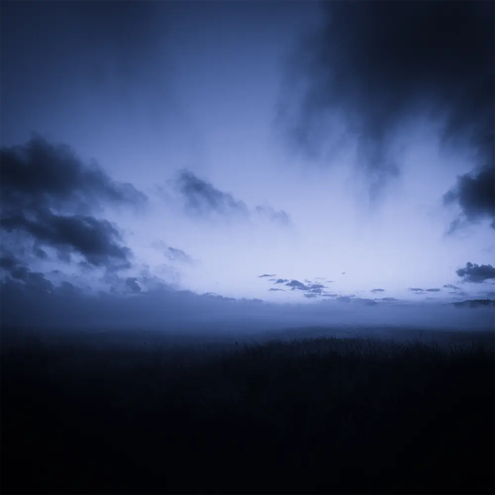Luma - hønda