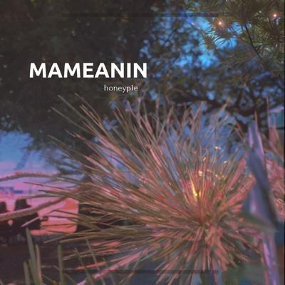 mameanin - honeyp1e