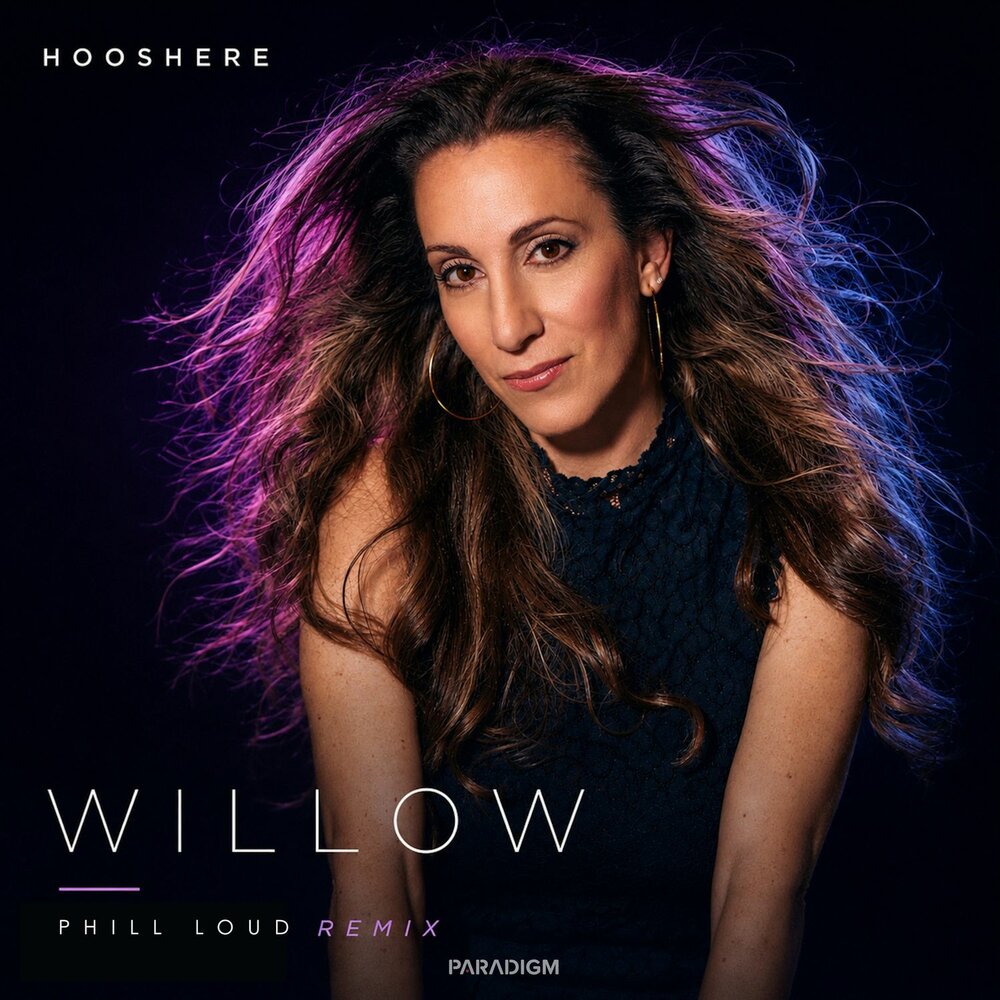 Willow (Phill Loud Remix) - Hooshere, Phill Loud
