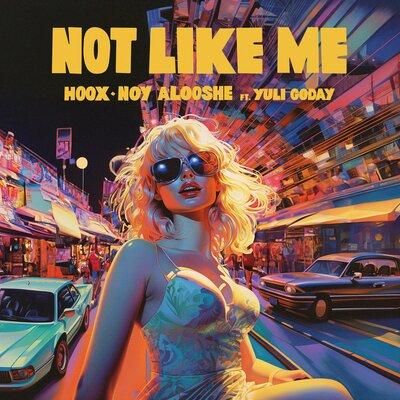 Hoox, Noy Alooshe, Yuli Goday - Not Like Me