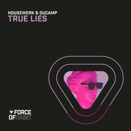 Housewerk feat. Ducamp - True Lies