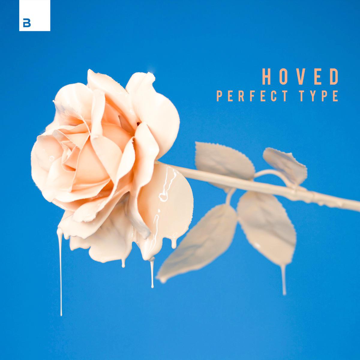 Perfect Type - Hoved