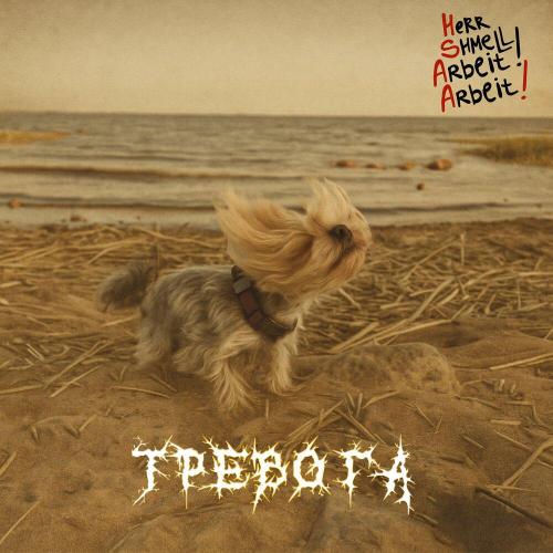 HSAA! - Тревога