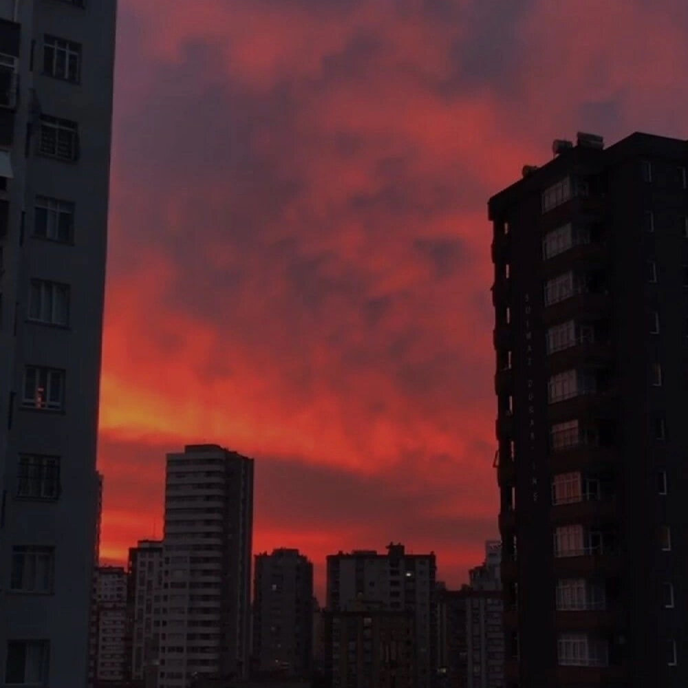 Настоящие - HSHpro, Amsterdam aka Mikro, ВесЪ