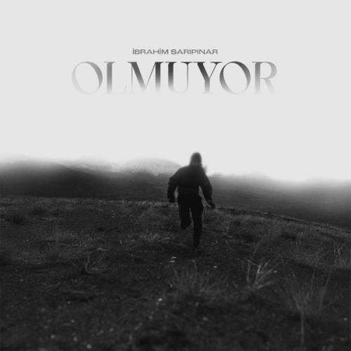 Olmuyor - İbrahim Sarıpınar