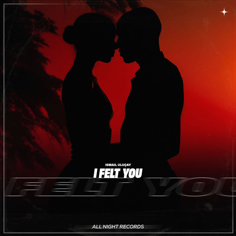 I Felt You - İsmail Uluçay