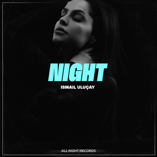 İsmail Uluçay - Night