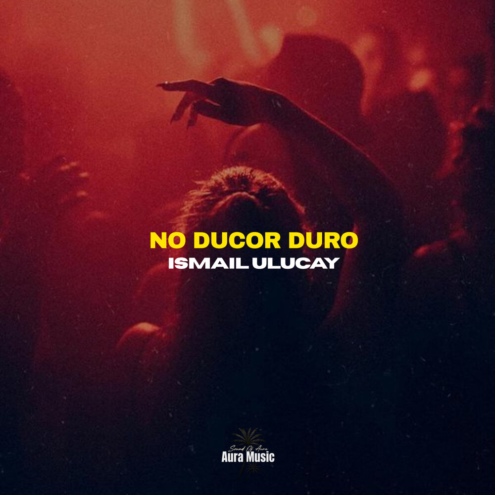 Non Ducor, Duco - İsmail Uluçay