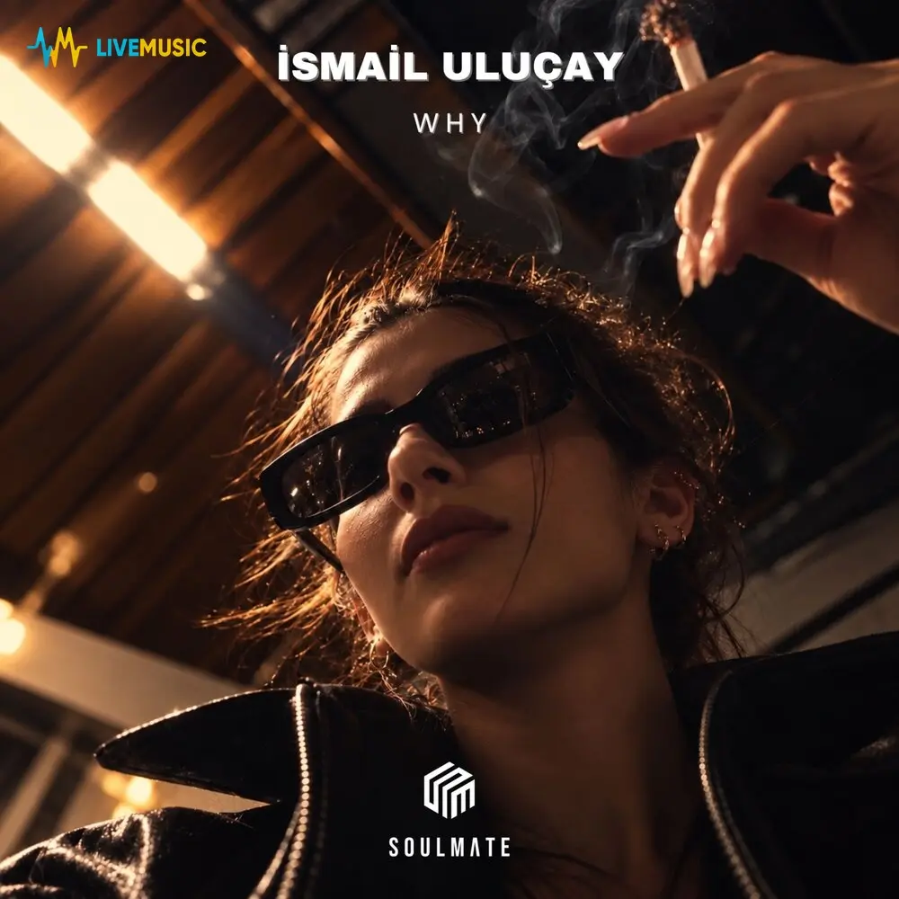 Why - İsmail Uluçay