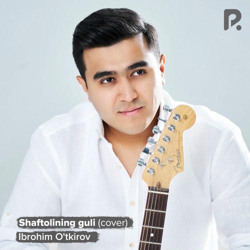 Shaftolining Guli (Cover) - Ibrohim O'tkirov