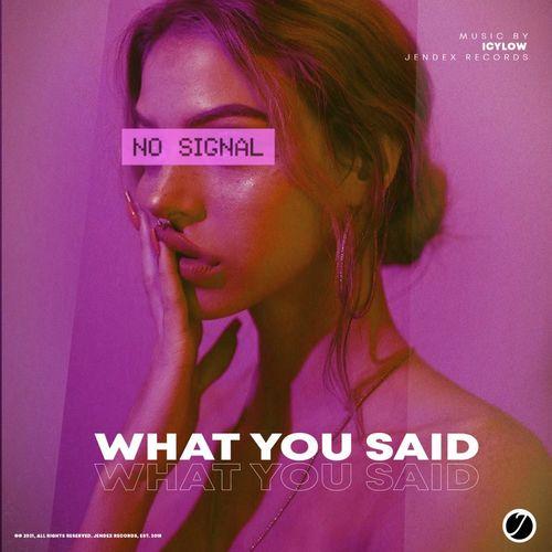 What You Said - Icylow