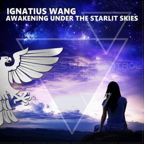 Ignatius Wang - Awakening Under the Starlit Skies