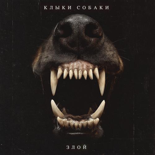Igor Gonda, КЛЫКИ СОБАКИ - ЗЛОЙ
