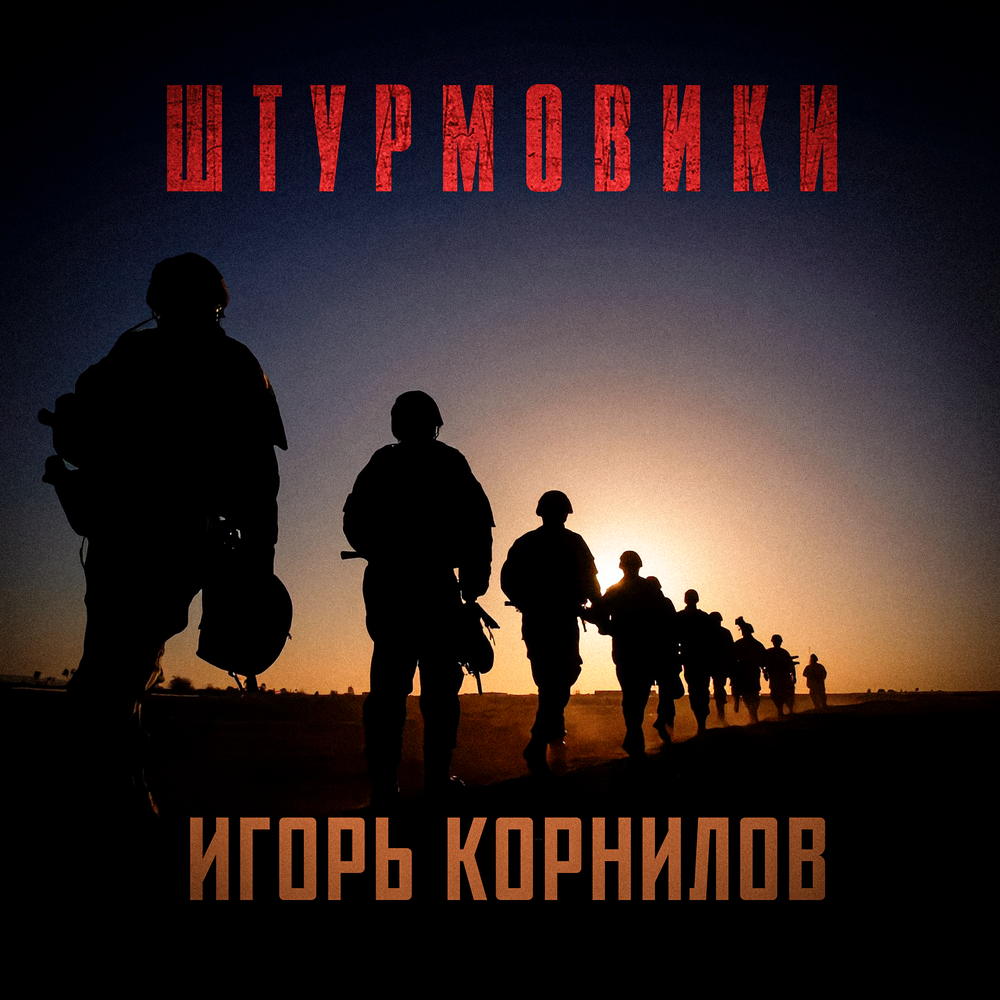 Штурмовики - Игорь Корнилов