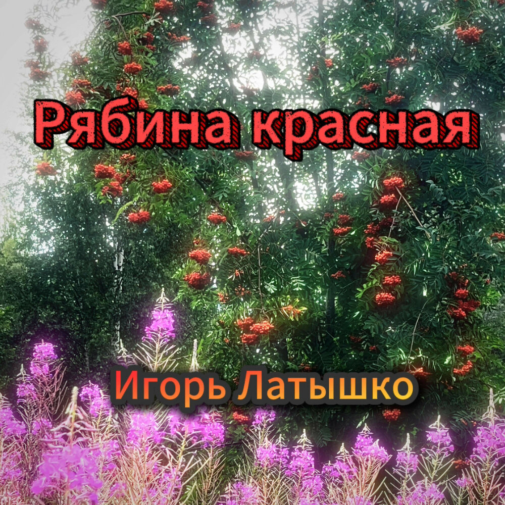 Игорь Латышко - Рябина красная