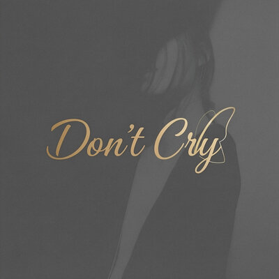 Don't Cry - Igor Pumphonia