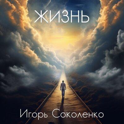 Жизнь - Игорь Соколенко