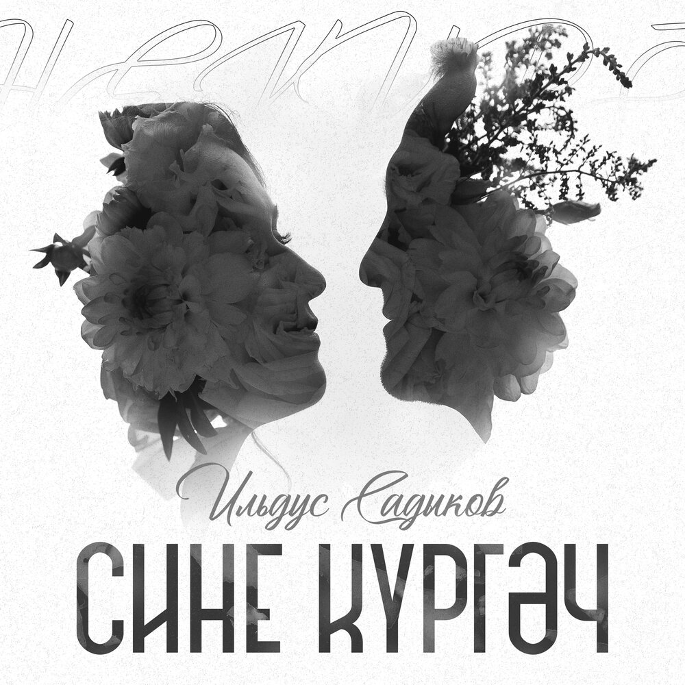 Сине кургэч - Ильдус Садыков