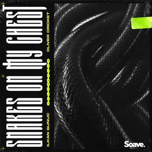 Ilkan Gunuc & Oliver Cricket - Snakes On My Chest