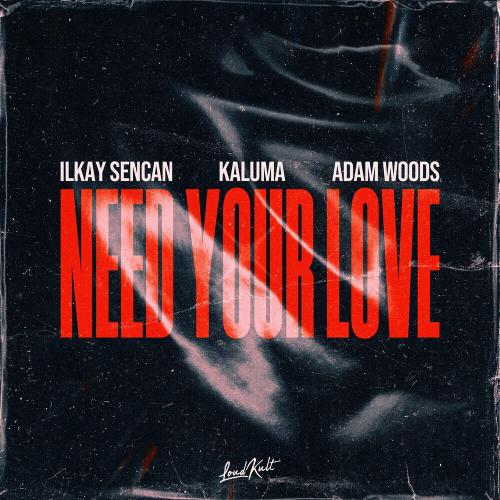 Ilkay Sencan feat. Kaluma & Adam Woods - Need Your Love