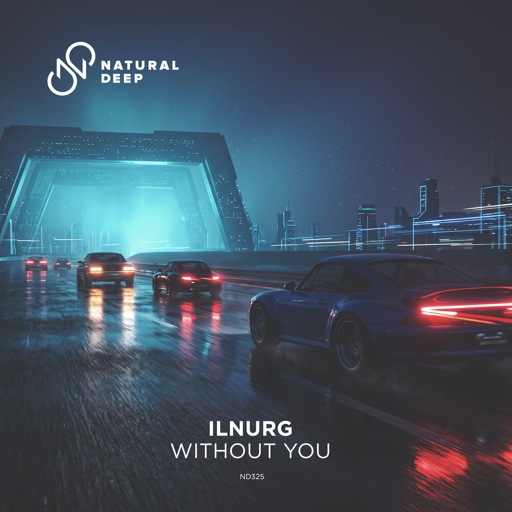 Without You - Ilnurg