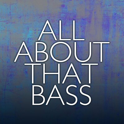 All About That Bass Radio Edit - Im The One