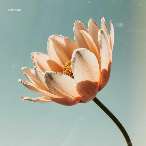 IMOR - Feel U