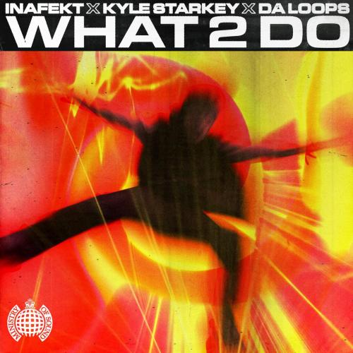 What 2 Do - Inafekt, Kyle Starkey & DaLoops
