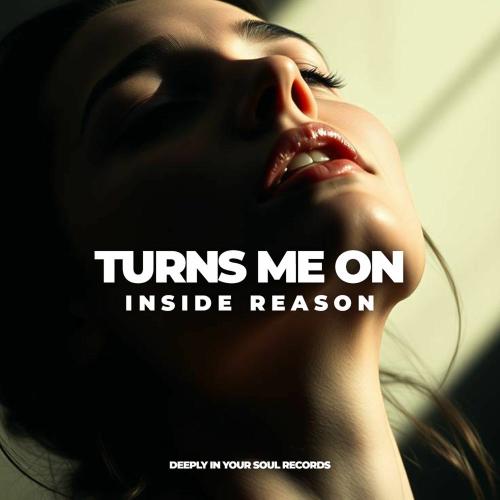 Inside Reason - Turns Me On