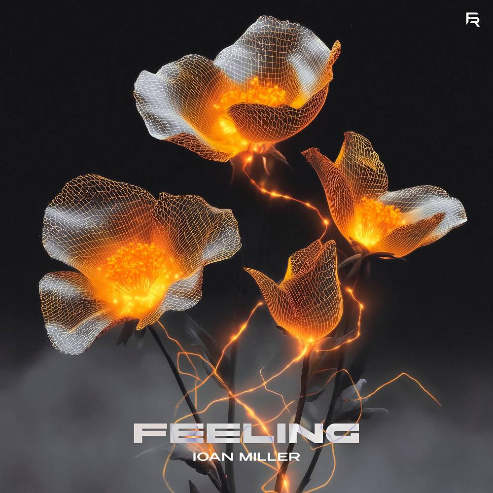 Feeling - IOAN MILLER