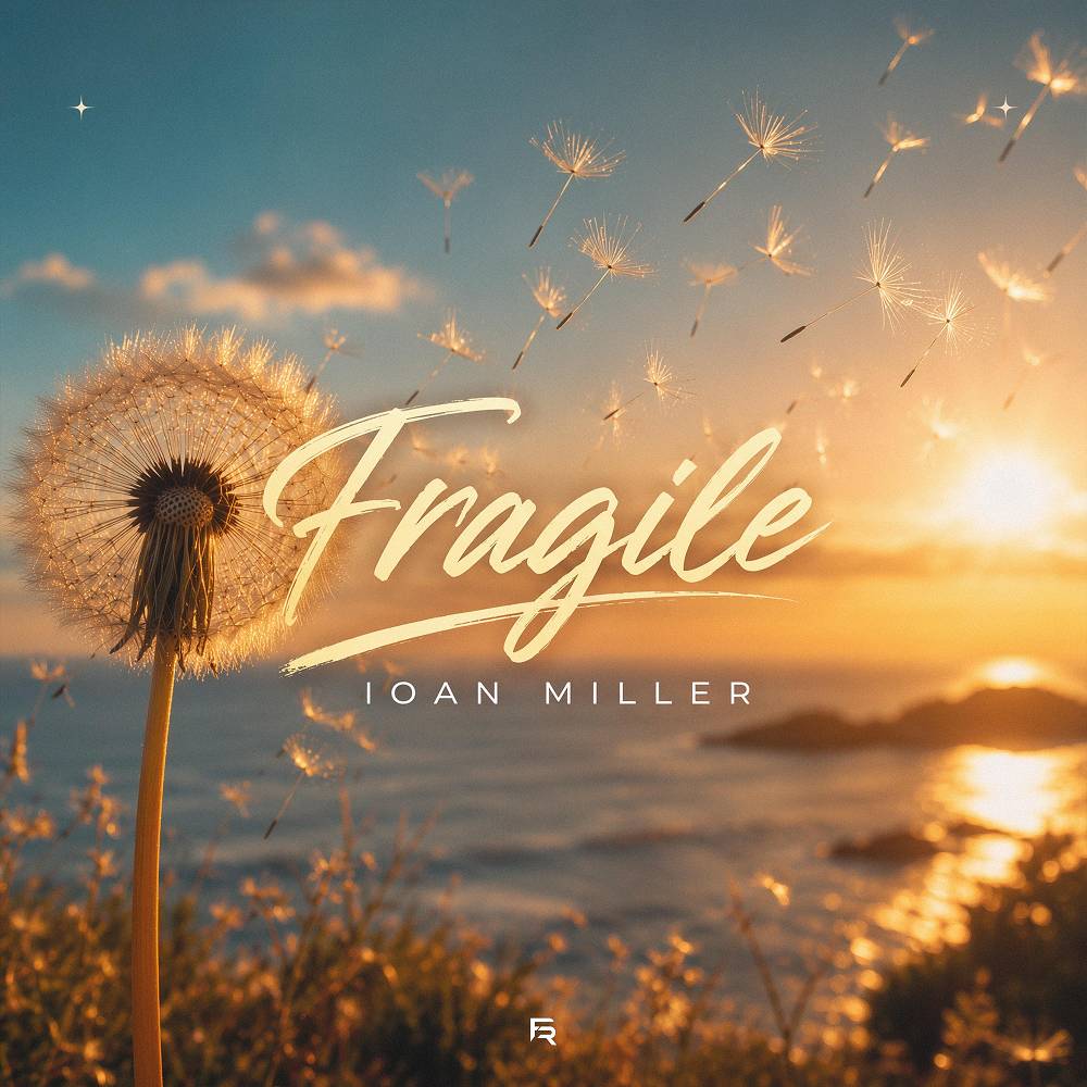 Fragile - IOAN MILLER