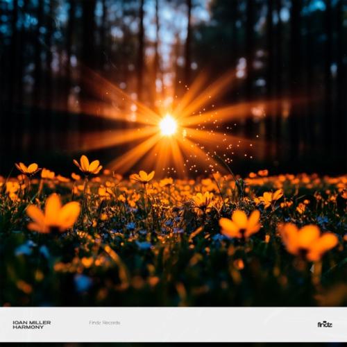 IOAN MILLER - Harmony