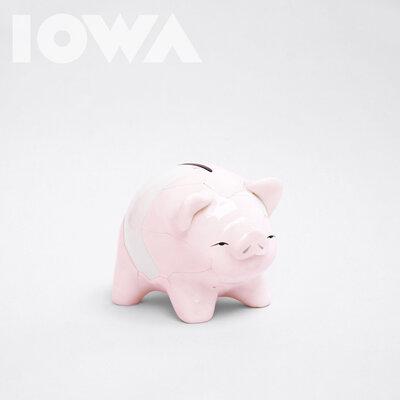 Свинка-Копилка - IOWA
