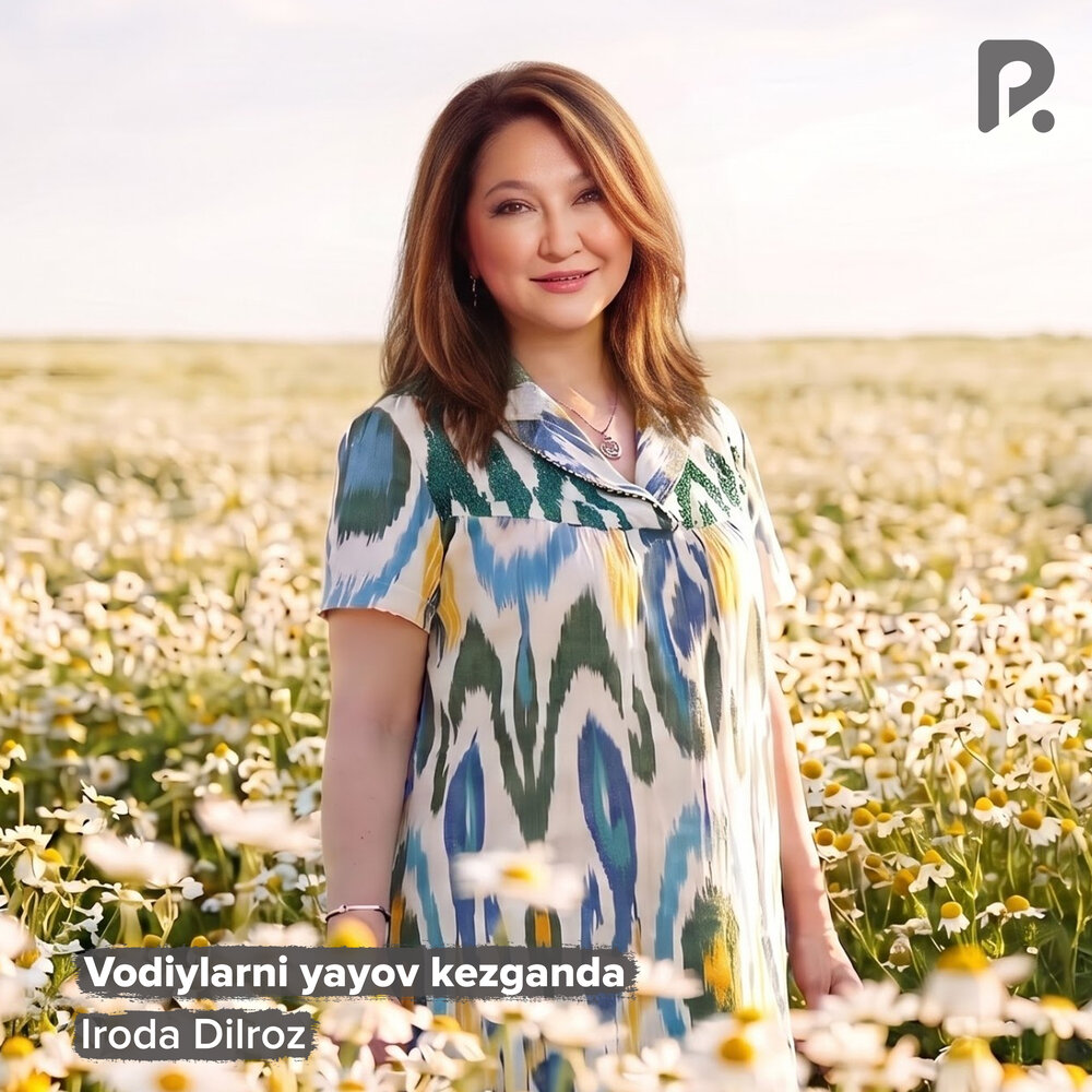 Vodiylarni yayov kezganda - Iroda Dilroz