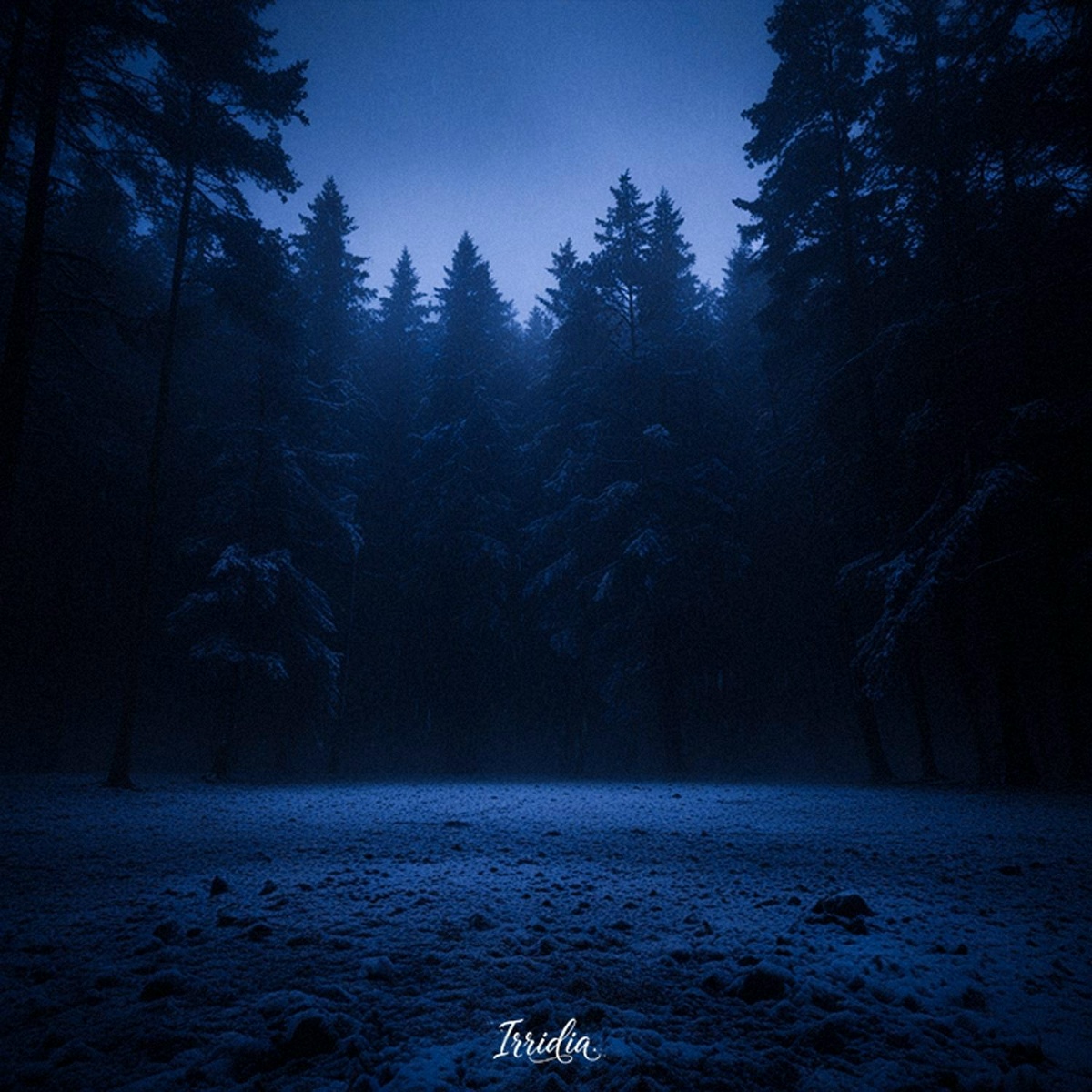 Winter forest - Irridia