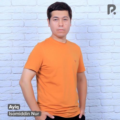 Ayiq - Isomiddin Nur