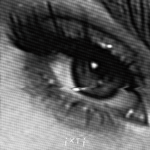 Стрижи - ixti, Rendow, Alfredovich