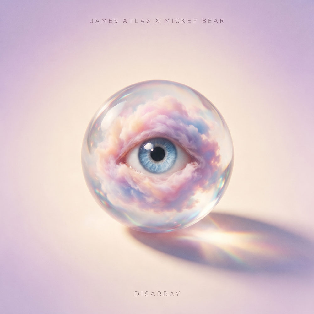 Disarray - James Atlas, MICKEY BEAR
