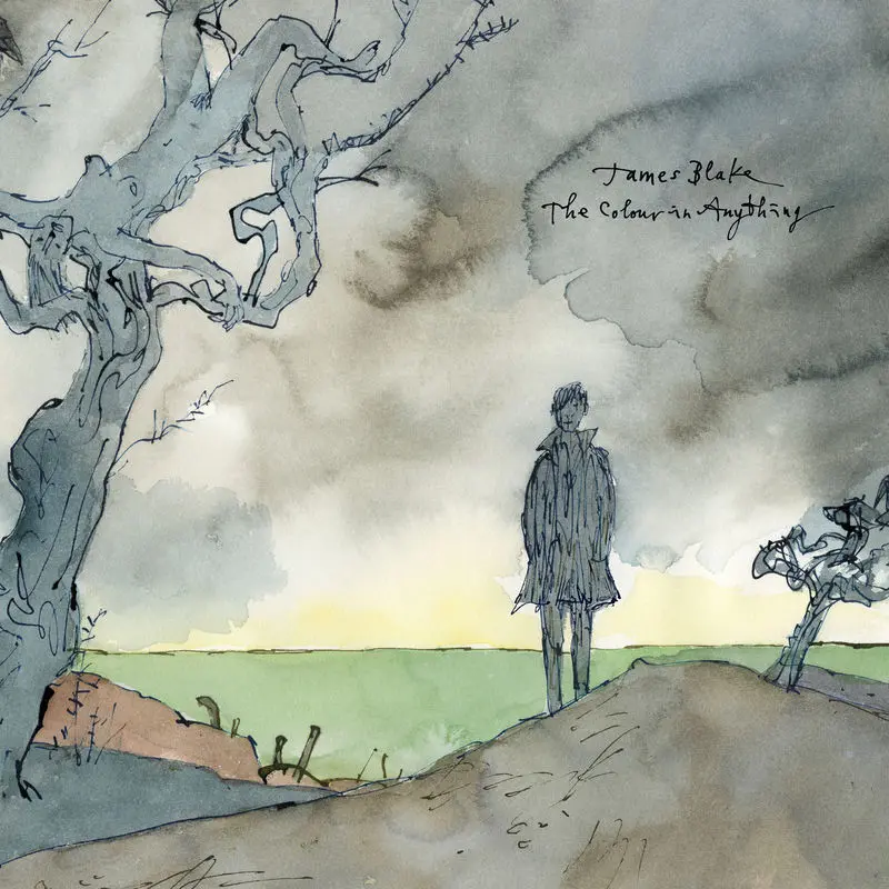 I Need A Forest Fire - James Blake feat. Bon Iver