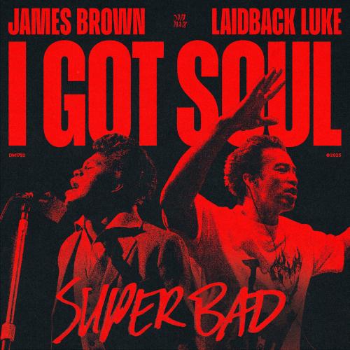 James Brown & Laidback Luke - I Got Soul (Super Bad)