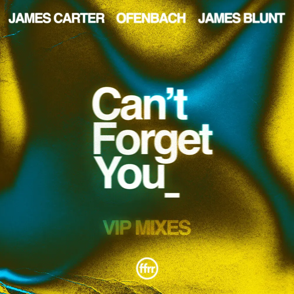 Can’t Forget You (feat. James Blunt) - James Carter, Ofenbach, James Blunt