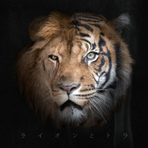 Не из вашего круга - Janaga & TENCA