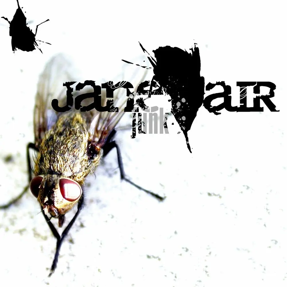 Junk (Unplugged Live) - Jane Air, Макс Каменщиков