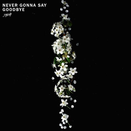Never Gonna Say Goodbye - JAOVA