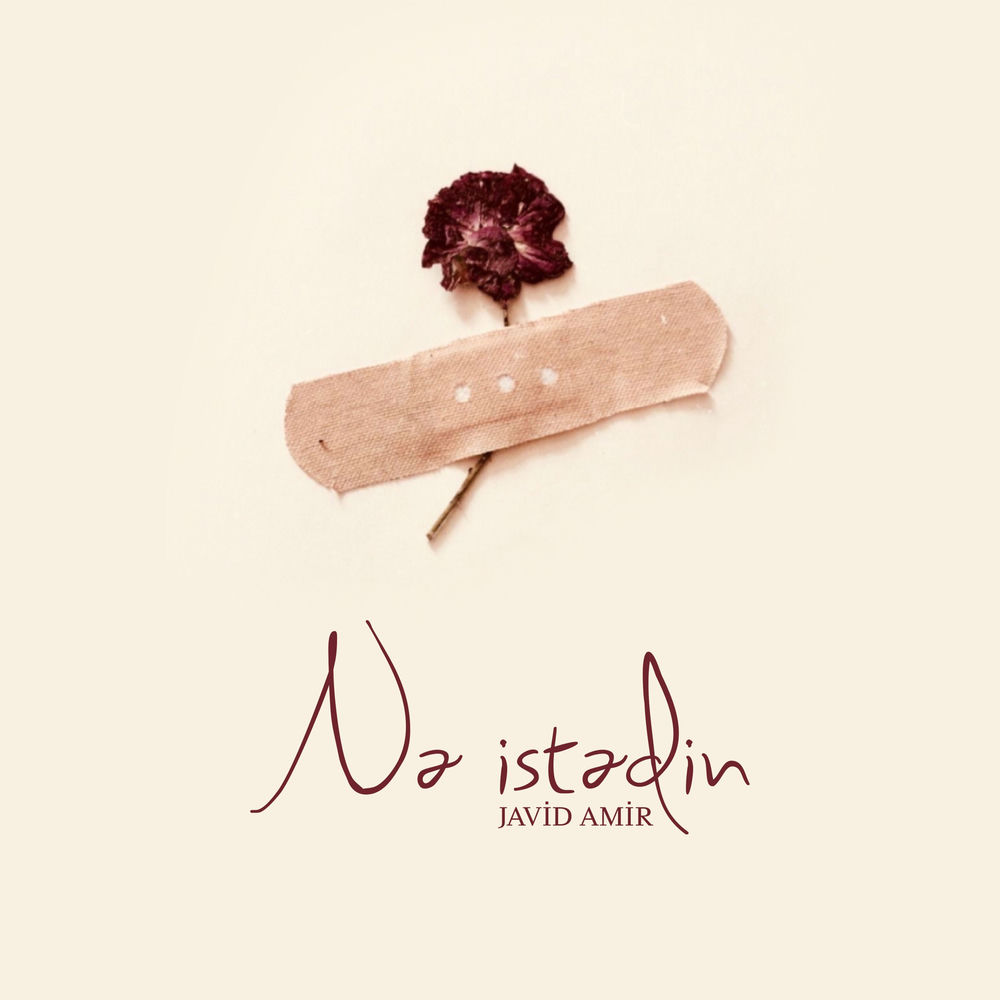 Nə İstədin - Javid Amir