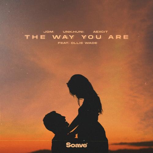 JDM feat. UNK.Huni & Aexcit - The Way You Are
