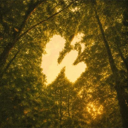 ЙЕЛЬ - Жди