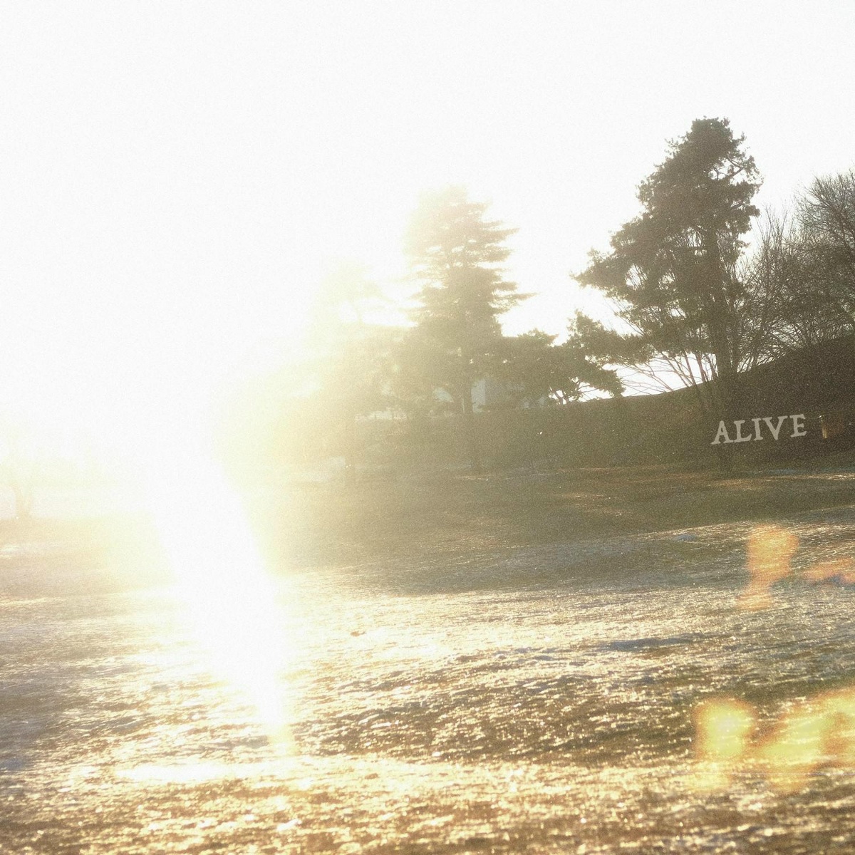 Alive - Jicheon