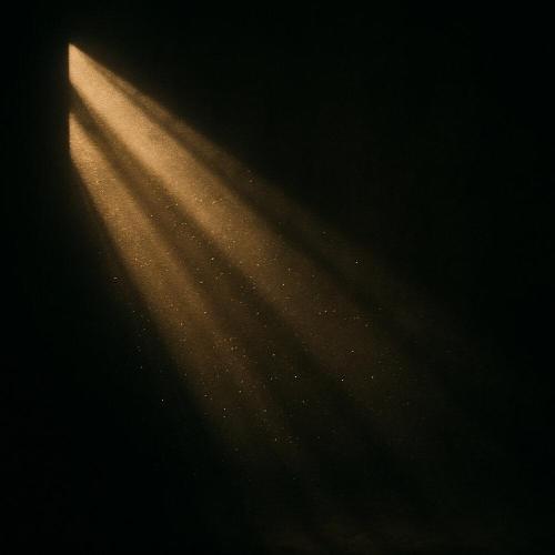 Jim Perkins - The Afternoon Light